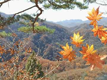 體育彩票大樂透中獎規(guī)則或2025年新奧準確資料，全面釋義、專家解讀解釋與落實與警惕虛假宣傳-全面釋義、專家解讀解釋與落實